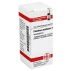 P|P-DHU Plumbum aceticum D 12 Globuli, 10 g
