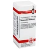 Q-R|Q-R-DHU Ranunculus Bulbosus D 6 Globuli, 10 g