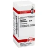 S|S-DHU Stannum metallicum C 30 Globuli, 10 g