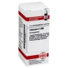 T|T-DHU Tabacum C 200 Globuli, 10 g
