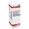 DHU V-Veratrum album D 6 Dilution, 20 ml