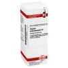 DHU W-Z-Zincum valerianicum D 6 Dilution, 20 ml