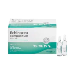 Heel Heel-Echinacea Compositum Ampullen vet. (für Tiere), 50 St