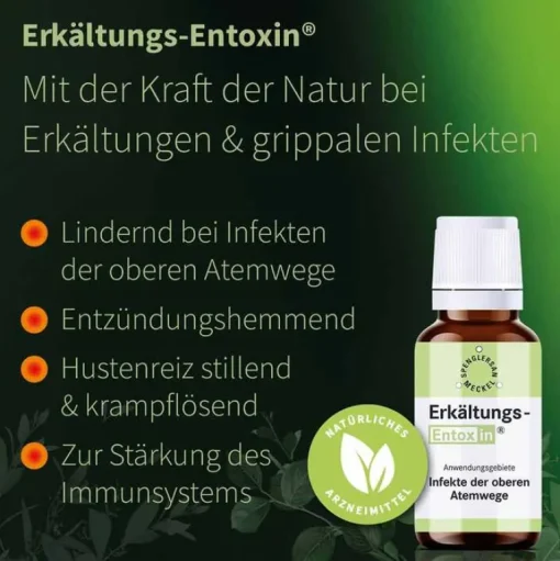 Entoxin Spenglersan-Erkältungs Tropfen, 20 ml