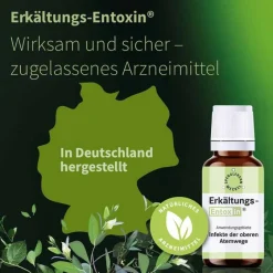 Entoxin Spenglersan-Erkältungs Tropfen, 20 ml