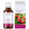Dr. Koll Gemmo Therapie-Gemmo Mazerat Himbeere Rubus idaeus Tropf., 50 ml
