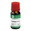 Arcana G-Graphites LM 6 Dilution, 10 ml