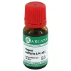 Arcana E-L|H-Hepar sulfuris LM 12 Dilution, 10 ml