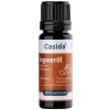 Casida Aromatische Düfte-Ingwer Öl naturrein ätherisches Öl, 10 ml