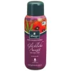 Kneipp Aromabäder|Duschen & Waschen-Aroma Pflegeschaumbad Glückliche Auszeit, 400 ml