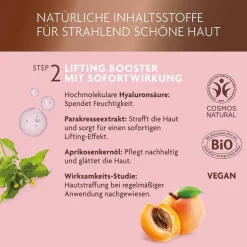 Luvos Heilerde|Gesichtsmasken-Heilerde Lifting Booster & Clean Maske 2 + 7,5ml, 1 P