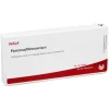 Wala Magen & Darm-Pancreas / Meteoreisen Ampullen, 10X1 ml