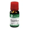 Arcana Q-R-Rhus toxicodendron LM 12 Dilution, 10 ml