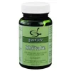 Green line Nutritheke Shiitake|Vitalpilze-Shiitake, 60 St