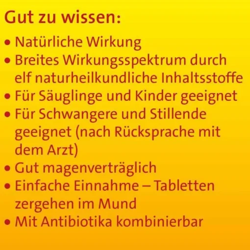 Hevert Hevert|Schnupfen & Nasennebenhöhlen-Sinusitis Tabletten, 300 St