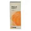 Kattwiga Kattwiga-Synergon 4 Echinacea N Tropf, 50 ml