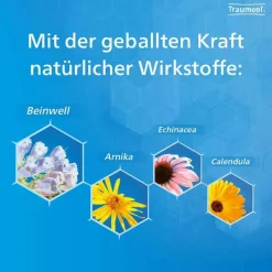 Traumeel Heel-® S Creme und Tabletten, 1 St
