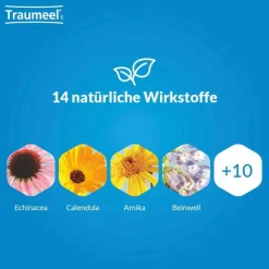 Traumeel Heel|Für Unterwegs-® S Mischung, 30 ml