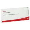 S-Ventriculus GL D 4 Ampullen, 10X1 ml